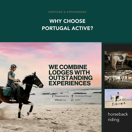 Apartment Blue Tile Hideaway By Portugal Active Porto